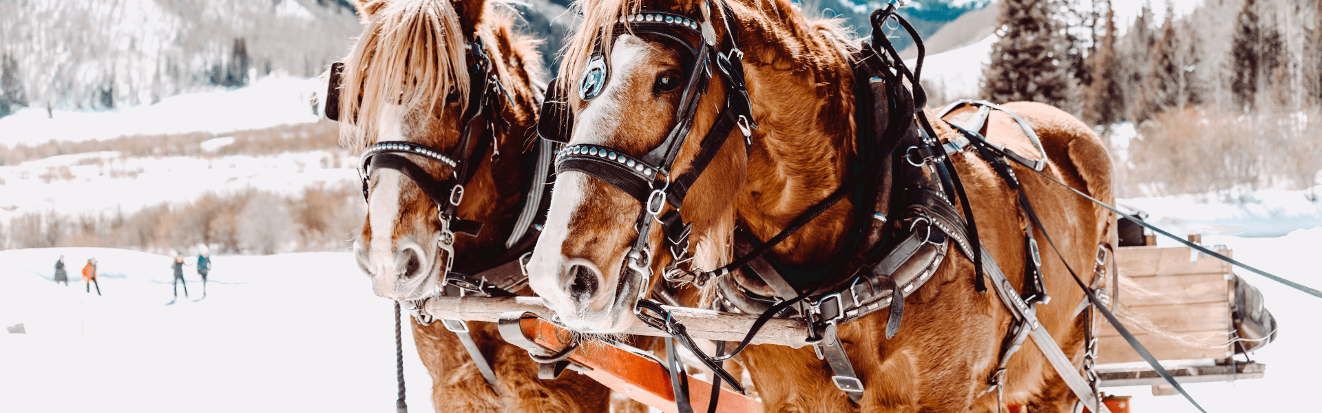 Blog banner image showing the main theme of the blog post