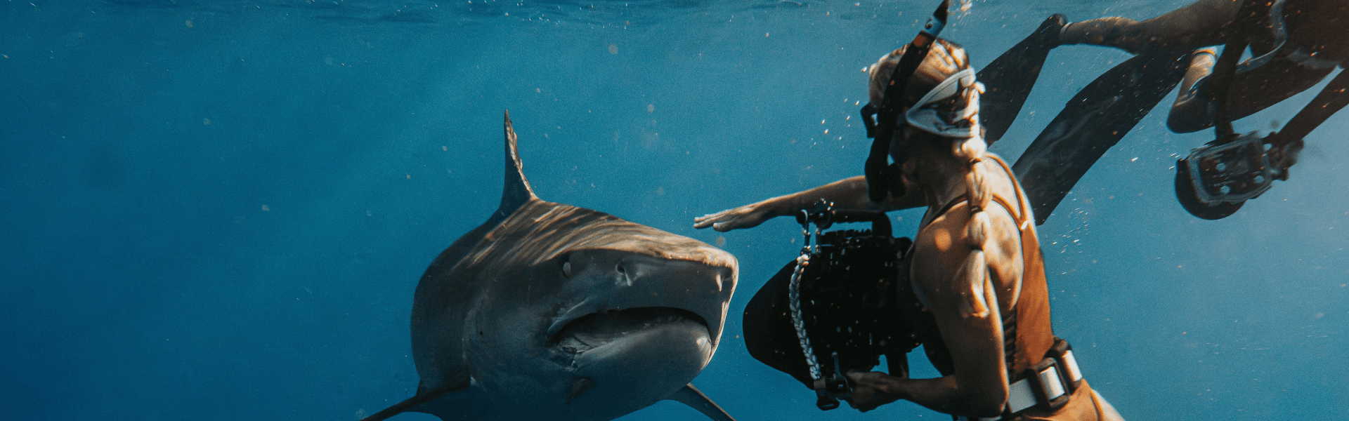 Blog banner image showing the main theme of the blog post